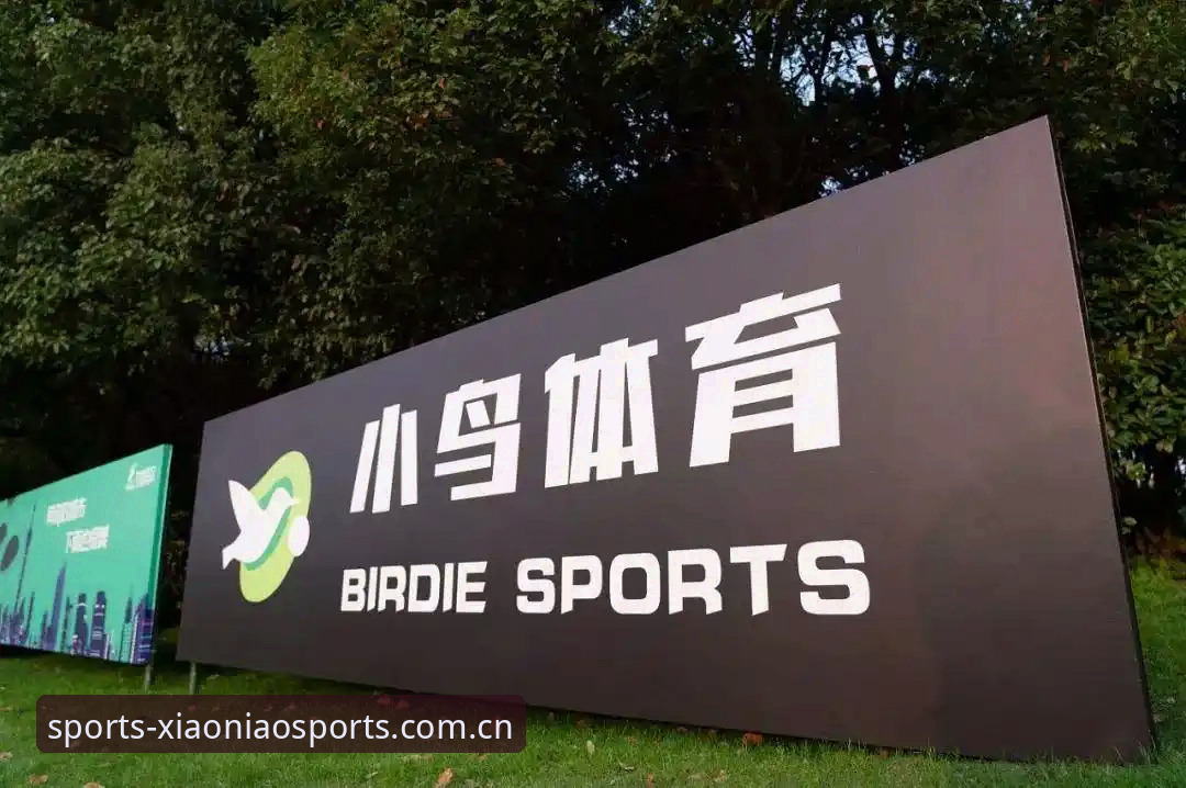小鸟体育APP官网常见问题深度解析：从注册到投注的全流程指南